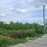  Land for sale in Thawi Watthana, Bangkok, Thawi Watthana, Thawi Watthana