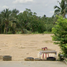  Grundstück zu verkaufen in Sam Phran, Nakhon Pathom, Sam Phran, Sam Phran, Nakhon Pathom