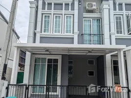 3 chambre Maison de ville à louer à , Fa Ham, Mueang Chiang Mai, Chiang Mai