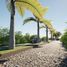  Terrain for sale in Colombie, Villanueva, Casanare, Colombie