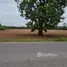  Land for sale in Na Klang, Nakhon Ratchasima, Na Klang, Sung Noen, Nakhon Ratchasima