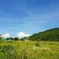  Grundstück zu verkaufen in Pujut, Lombok, Pujut