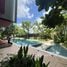 1 Bedroom Condo for rent at THE BASE Bukit, Wichit, Phuket Town, Phuket, Thailand