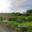  Land for sale in Khlong Luang, Pathum Thani, Khlong Song, Khlong Luang