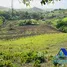 Terrain à vendre à San Felipe De Puerto Plata, Puerto Plata, San Felipe De Puerto Plata