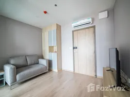 1 Bedroom Condo for rent at Ideo O2, Bang Na