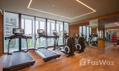 写真 2 of the Communal Gym at The Park at EM District