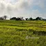  Grundstück zu verkaufen in Cemagi, Bali, Cemagi, Badung