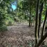  Terreno (Parcela) en venta en Mengwi, Bali, Mengwi