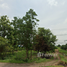  Land for sale in Chai Badan, Lop Buri, Nikhom Lam Narai, Chai Badan