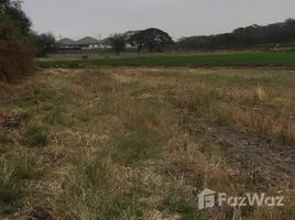 ขายที่ดิน ใน ตาลเดี่ยว, สระบุรี, ตาลเดี่ยว