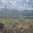  Land for sale in Chiang Mai, Mueang Kaeo, Mae Rim, Chiang Mai