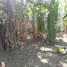  Land for sale in Phasi Charoen Bangkok, Bang Waek, Phasi Charoen