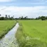  Land for sale in Thailand, Don Thong, Sena, Phra Nakhon Si Ayutthaya, Thailand