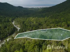 ขายที่ดิน ใน เกาะพะงัน, สุราษฎร์ธานี, เกาะพะงัน