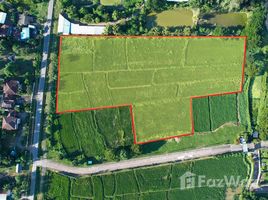  Land for sale in Nan, Du Tai, Mueang Nan, Nan
