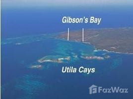  Land for sale in Bay Islands, Utila, Bay Islands