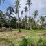 ขายที่ดิน ใน ตลิ่งงาม, สุราษฎร์ธานี, ตลิ่งงาม, เกาะสมุย