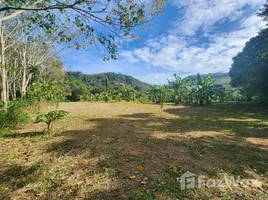  Terrain for sale in Thaïlande, Pa Khlok, Thalang, Phuket, Thaïlande