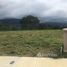 在Cartago出售的 土地, La Union, Cartago