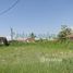  Land for sale at Agenor de Campos, Mongagua, Mongagua