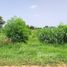  Land for sale in Non Sung, Nakhon Ratchasima, Non Sung, Non Sung