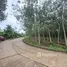  Land for sale in Chak Phong, Rayong, Chak Phong, Klaeng