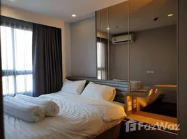 2 Bedroom Condo for rent at Ideo Sukhumvit 93, Bang Chak, Phra Khanong, Bangkok, Thailand