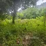 ขายที่ดิน ใน ลิปะน้อย, สุราษฎร์ธานี, ลิปะน้อย