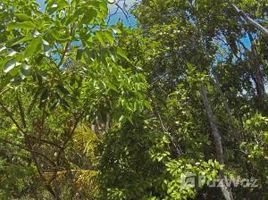  Land for sale in Utila, Bay Islands, Utila