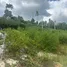  Land for sale in Lipa Noi, Surat Thani, Lipa Noi, Koh Samui