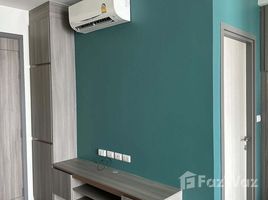 ขายอพาร์ทเม้นท์ 1 ห้องนอน ในโครงการ KnightsBridge Collage Sukhumvit 107, บางนา, บางนา, กรุงเทพมหานคร, ไทย