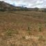  Land for sale in Loja, Loja, Vilcabamba Victoria, Loja