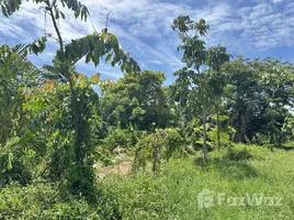  Land for sale in Taling Ngam, Surat Thani, Taling Ngam, Koh Samui