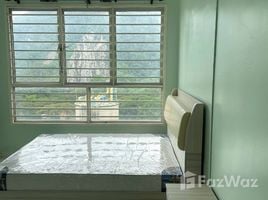 在Stevens Suites租赁的3 卧室 顶层公寓, Nassim, Tanglin, Central Region