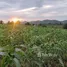  Terreno (Parcela) en venta en Nong Yang Suea, Saraburi, Nong Yang Suea, Muak Lek, Saraburi, Tailandia