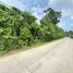  Land for sale in Koh Samui Surat Thani, Maenam, Koh Samui