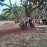  Terreno (Parcela) en venta en Santa Fe, Central Visayas, Santa Fe