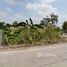  Land for sale in Mueang Pathum Thani, Pathum Thani, Bang Luang, Mueang Pathum Thani