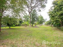  Land for sale in Thailand, Tha Wang Tan, Saraphi, Chiang Mai, Thailand