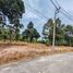 ขายที่ดิน ใน ตลิ่งงาม, สุราษฎร์ธานี, ตลิ่งงาม