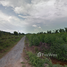  Land for sale in Tha Thong Lang, Bang Khla, Tha Thong Lang