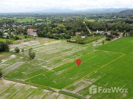  Terreno (Parcela) en venta en Tailandia, Rong Wua Daeng, San Kamphaeng, Chiang Mai, Tailandia