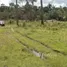  Terrain for sale in Brésil, Presidente Figueiredo, Amazonas, Brésil