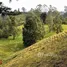 Terrain for sale in Rionegro, Antioquia, Rionegro
