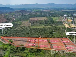 ขายที่ดิน ใน หนองตาแต้ม, หัวหิน, หนองตาแต้ม, ปราณบุรี, ประจวบคีรีขันธ์
