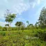  Land for sale in Trat, Wang Takhian, Khao Saming, Trat