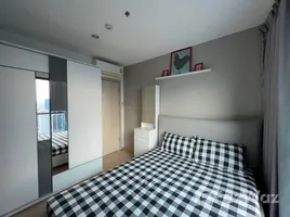 1 Bedroom Condo for rent at The Base Rama 9 - Ramkhamhaeng, Hua Mak, Bang Kapi, Bangkok, Thailand