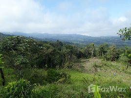  Grundstück zu verkaufen in San Miguel De Los Bancos, Pichincha, San Miguel De Los Bancos, San Miguel De Los Bancos