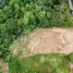  Земельный участок for sale in Чалонг, Пхукет, Чалонг